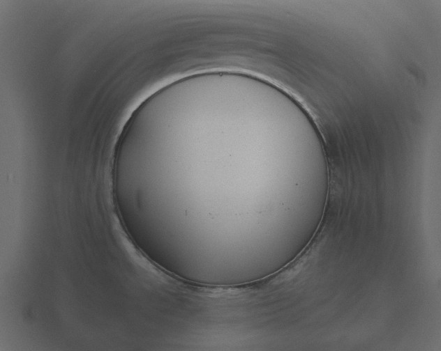 X0000116571534200912241625