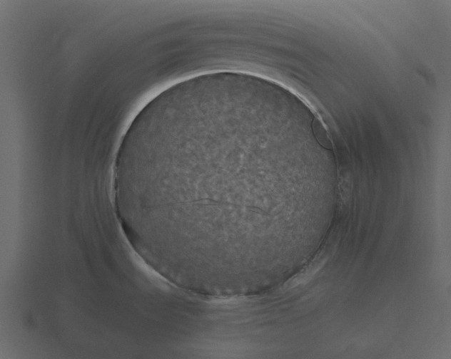 X0000116571535200912241625