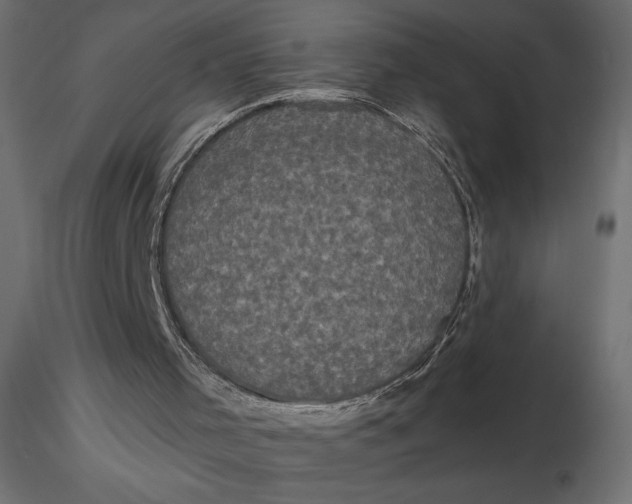 X0000116570001200912312003