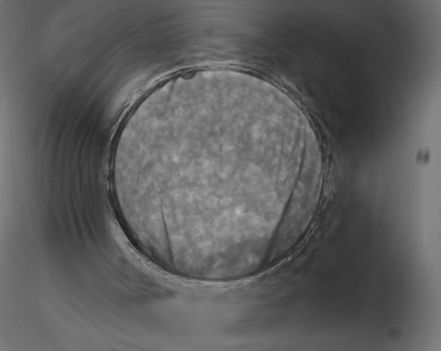 X0000116570002200912312003