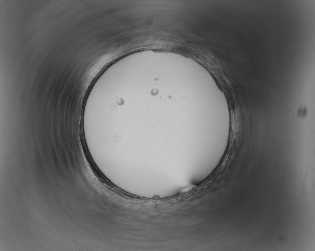 X0000116570003200912312003