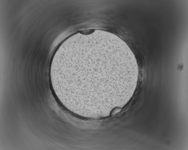 X0000116570004200912312003