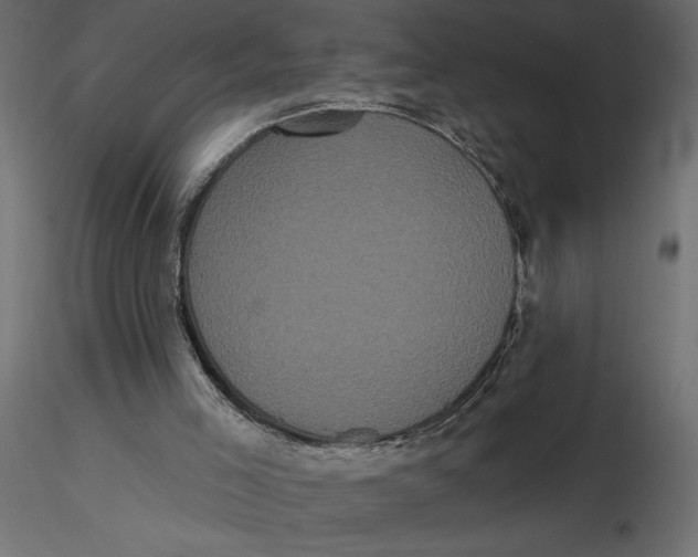 X0000116570005200912312003