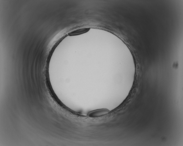 X0000116570007200912312003