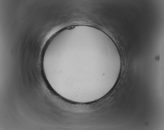 X0000116570008200912312003