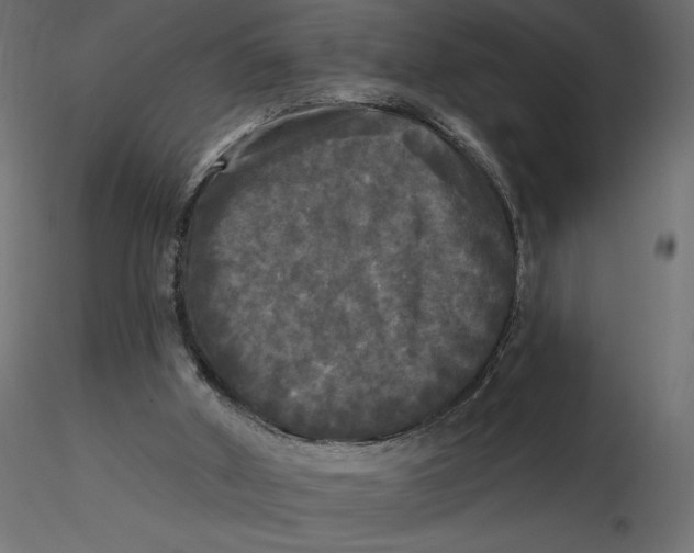 X0000116570010200912312003