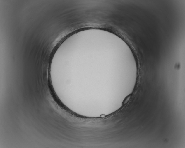 X0000116570011200912312003