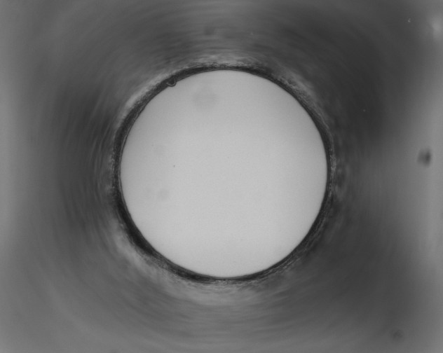 X0000116570012200912312003