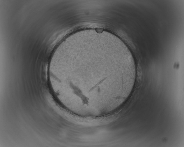 X0000116570014200912312003