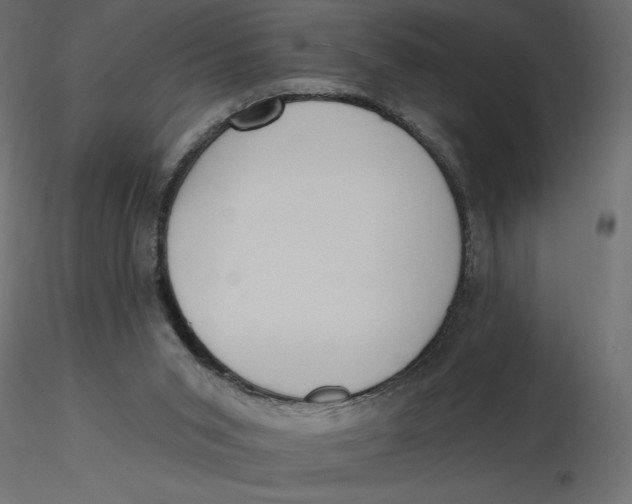 X0000116570015200912312003