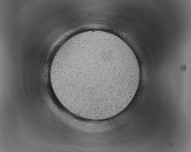 X0000116570016200912312003