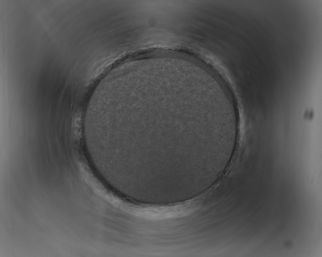 X0000116570017200912312003