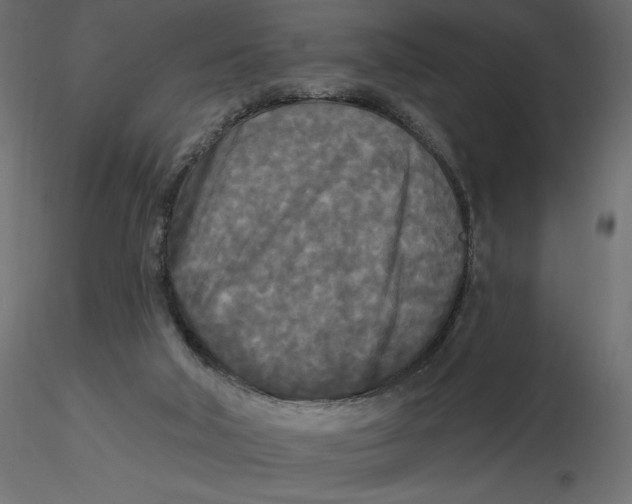 X0000116570018200912312003