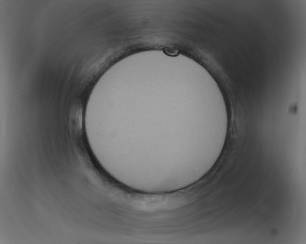 X0000116570021200912312003