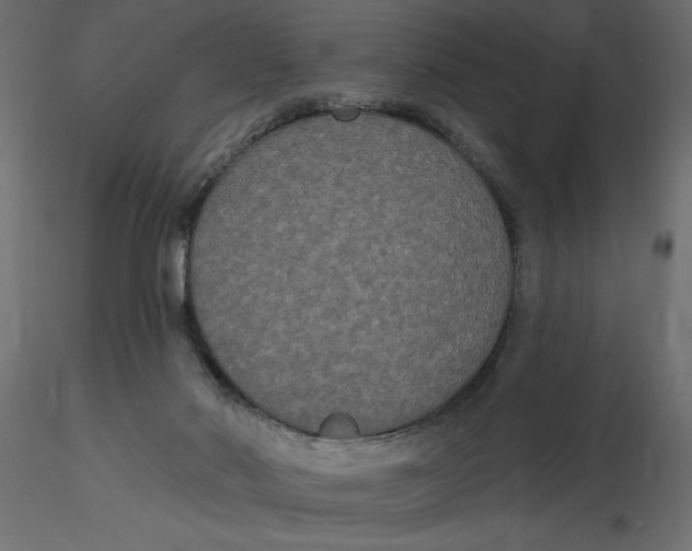 X0000116570022200912312003