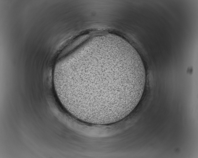 X0000116570024200912312003