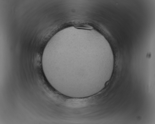 X0000116570025200912312003