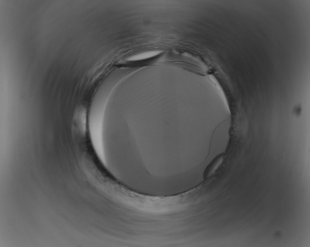 X0000116570027200912312003