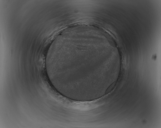 X0000116570029200912312003