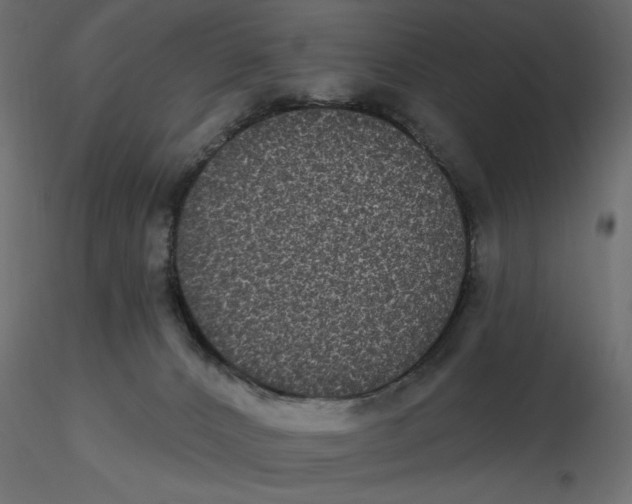 X0000116570032200912312003