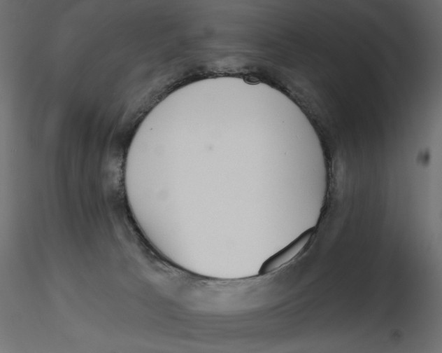 X0000116570033200912312003