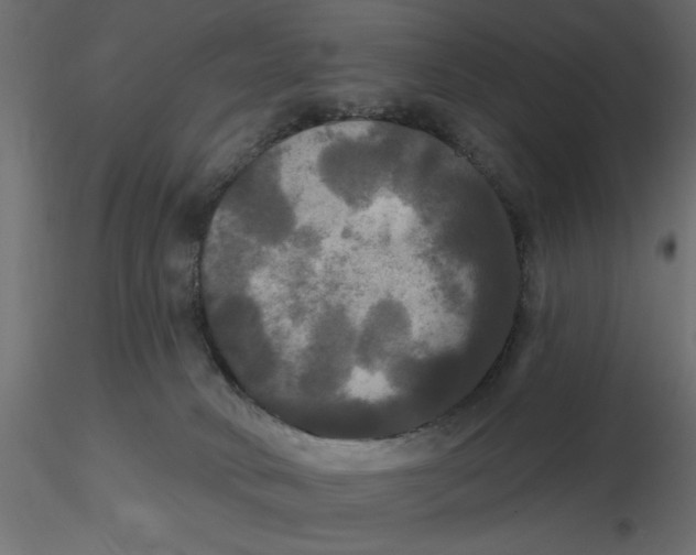 X0000116570034200912312003