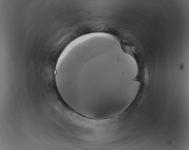 X0000116570035200912312003