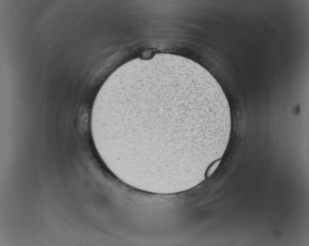 X0000116570036200912312003