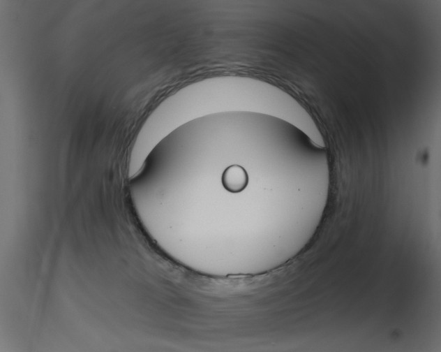 X0000116570037200912312003