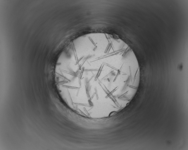 X0000116570038200912312002