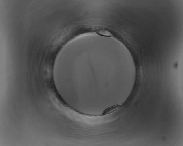 X0000116570039200912312002