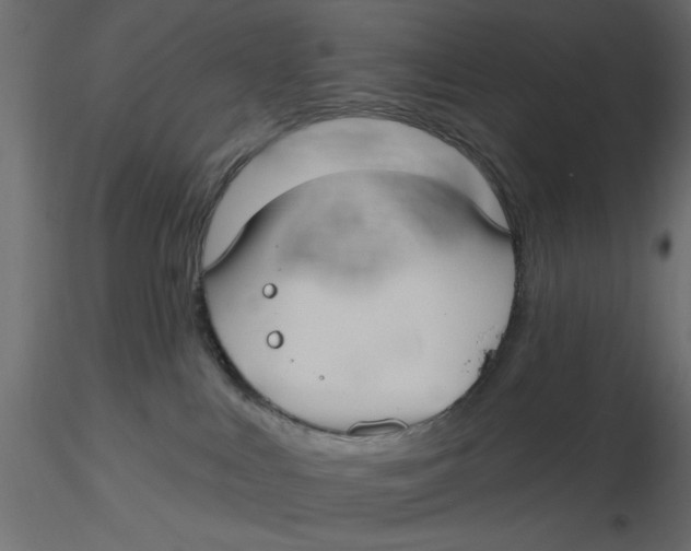 X0000116570043200912312002