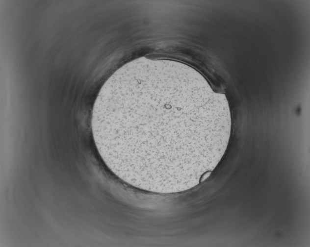 X0000116570044200912312002