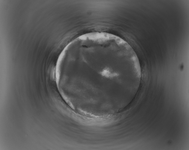 X0000116570046200912312002