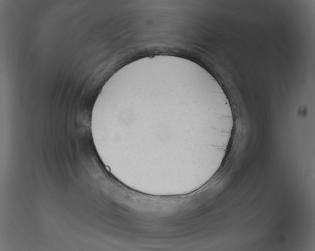 X0000116570048200912312002