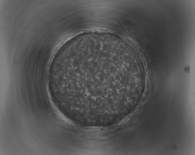 X0000116570049200912312002