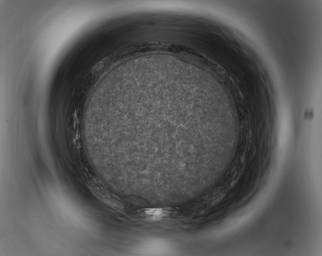 X0000116570050200912312002