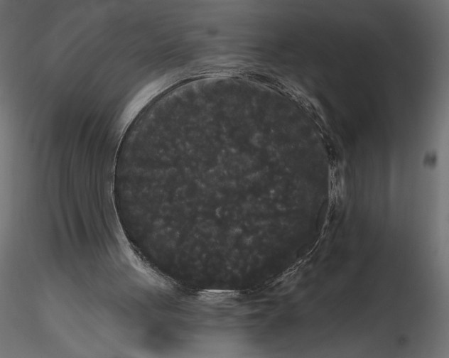 X0000116570051200912312002