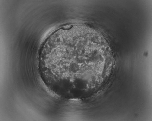 X0000116570053200912312002