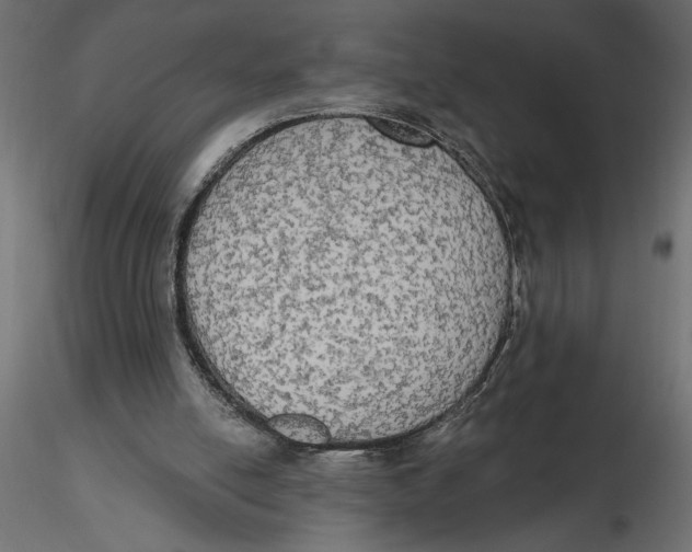 X0000116570054200912312002