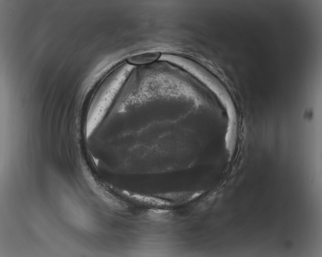 X0000116570055200912312002