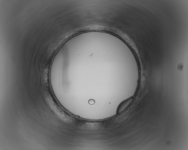 X0000116570057200912312002