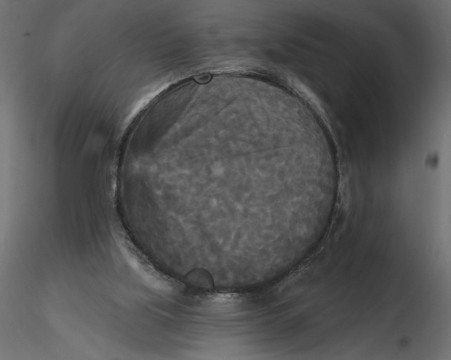 X0000116570059200912312002