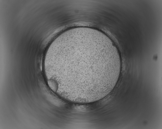 X0000116570062200912312002