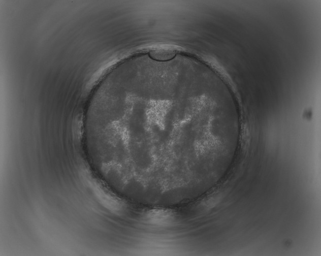 X0000116570063200912312002