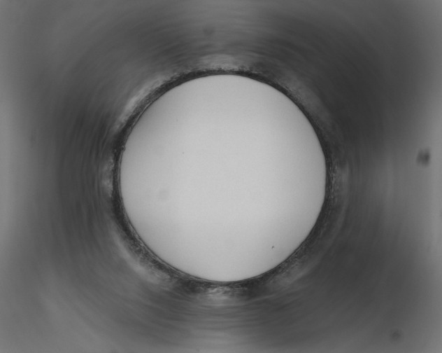 X0000116570064200912312002