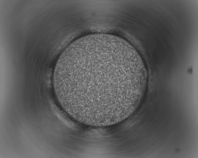 X0000116570065200912312002