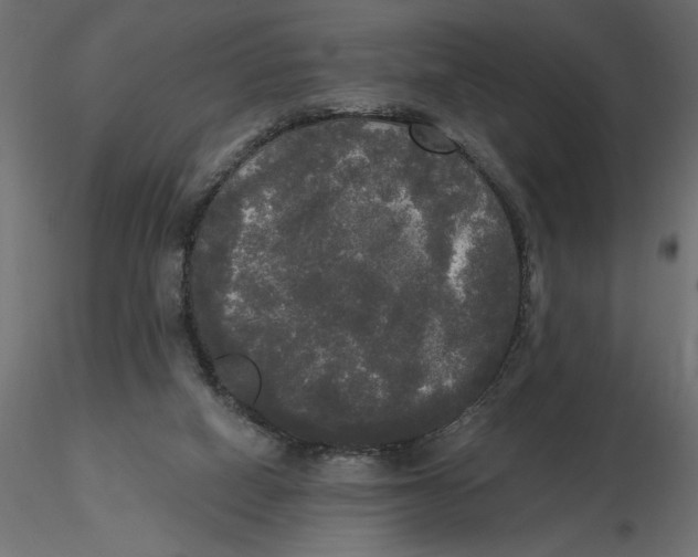 X0000116570066200912312002