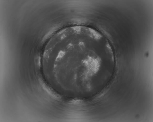 X0000116570067200912312002