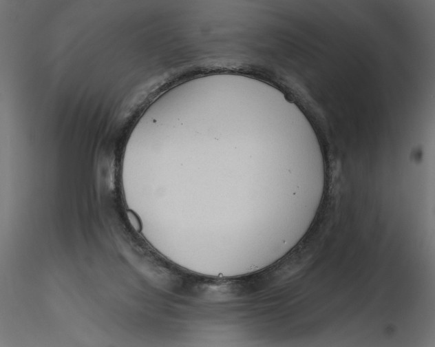 X0000116570068200912312002